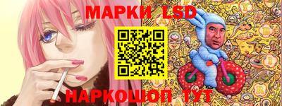 индика Моздок