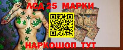 индика Моздок