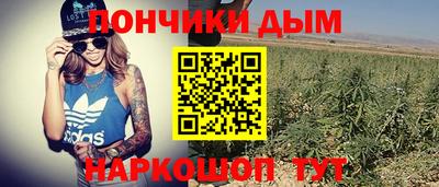 индика Моздок
