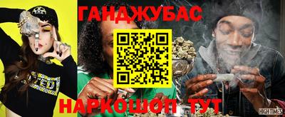 индика Моздок