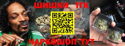 индика Моздок