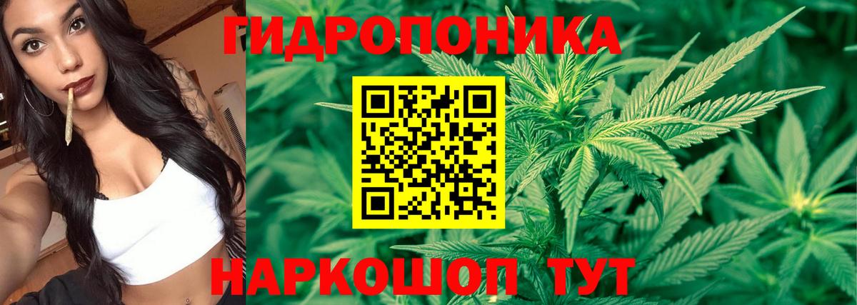 Соликамск  МАРИХУАНА Amnesia  Вход с VPN  Бошки Шишки тримм  Канабис планчик  Конопля Ganja 